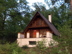 Holiday Cottage V Boroví